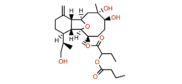 Hirsutalin V